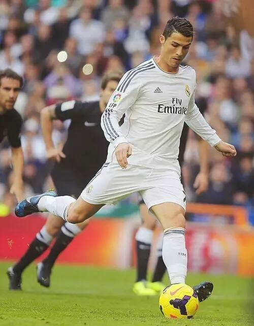 个极大的提 个极大的提