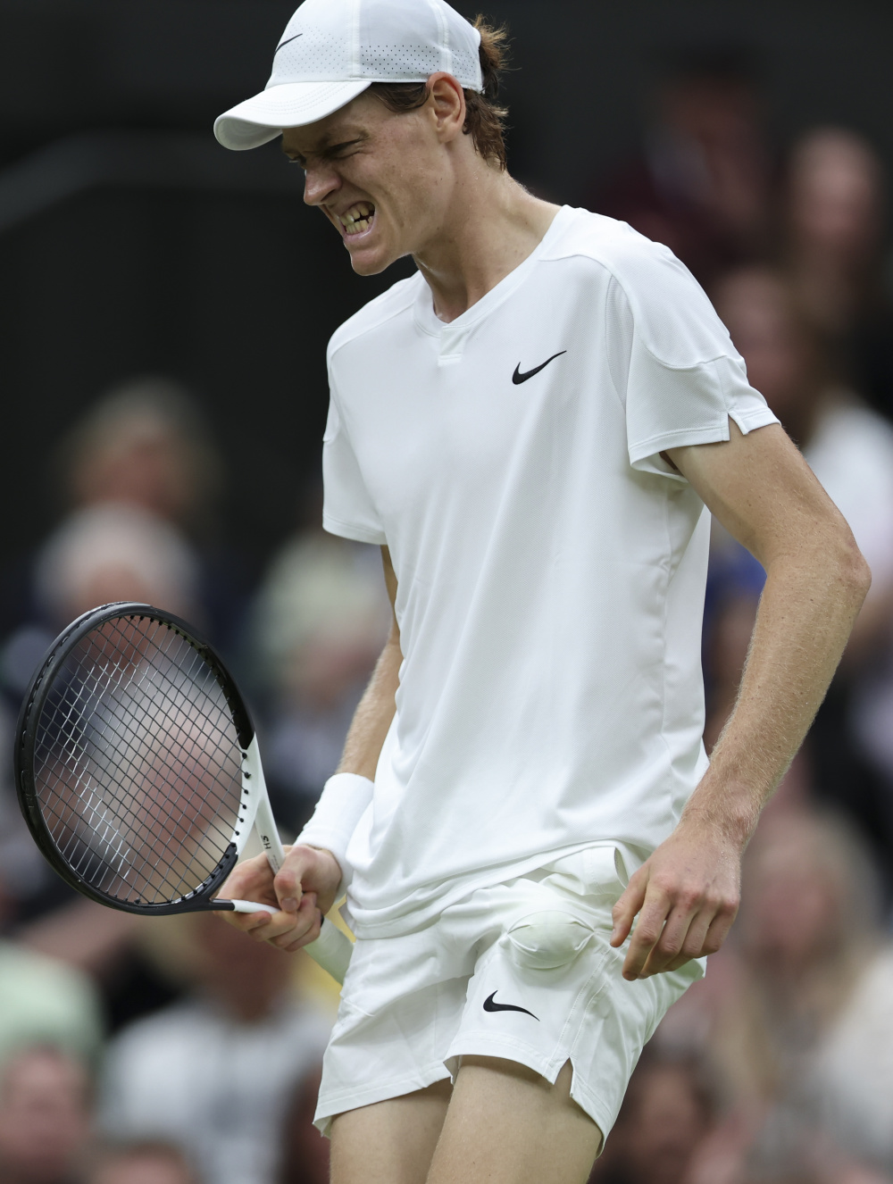 画领域的技 画领域的技